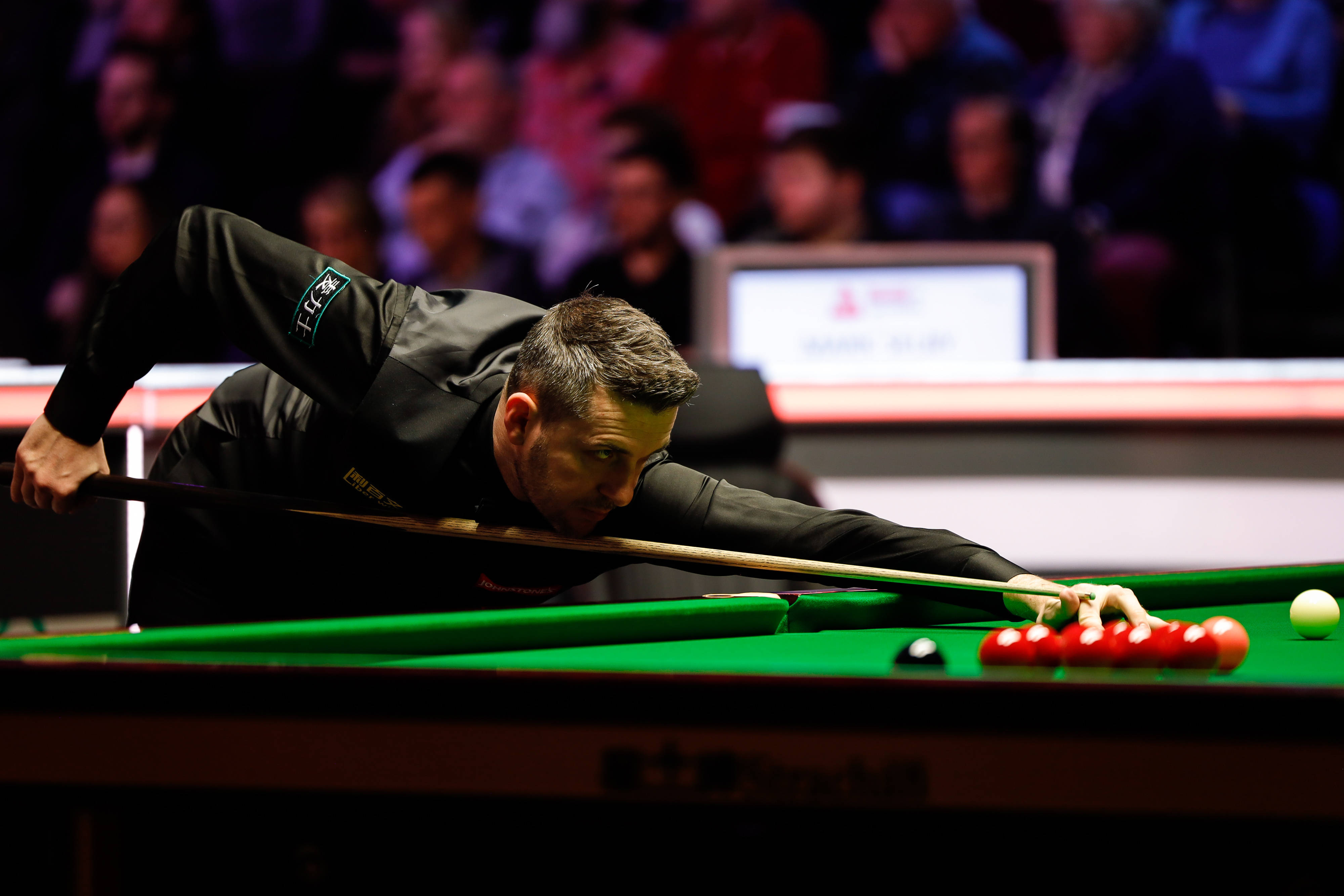 班马主帅的 班马主帅的